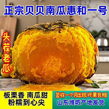 正宗贝贝南瓜惠和一号小南瓜板栗味香甜粉糯减脂辅食新鲜早餐山东