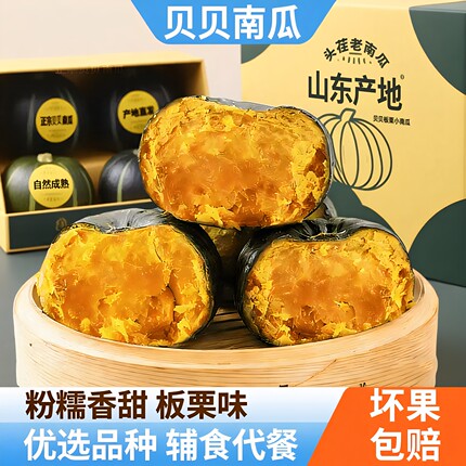 贝贝板栗南瓜小南瓜粉糯甜婴儿辅食新鲜正宗板栗味惠和一号老南瓜