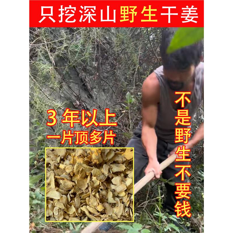 老周挖的深山纯野生干姜500g材甘草汤片饮老姜小黄姜食用泡茶-封面