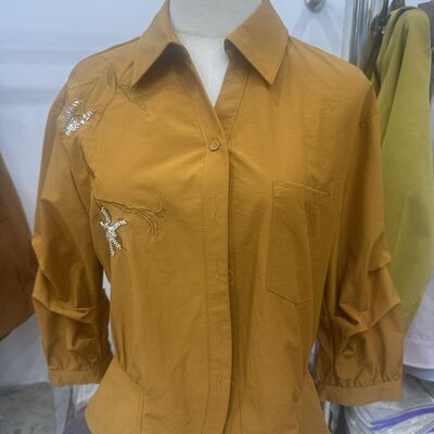 通勤韩版重工刺绣收腰显瘦衬衫女