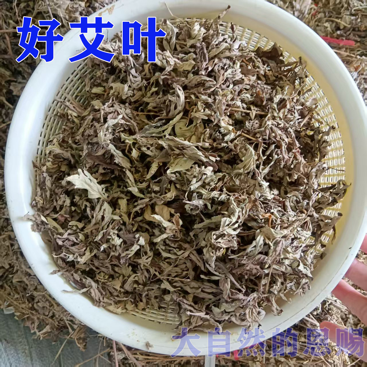 正宗大叶艾草纯叶子现货散装艾叶月子煮水孩子泡澡艾香味新艾陈艾