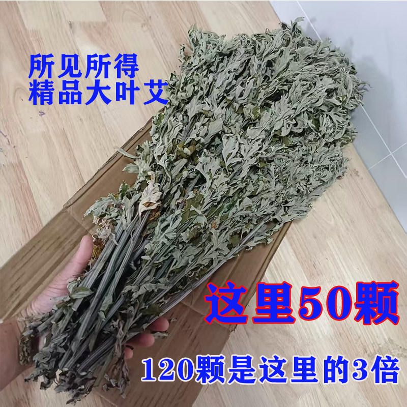 端午大叶艾草干货优质月子产妇宝宝用泡澡脚散装艾去湿干蕲艾泡茶