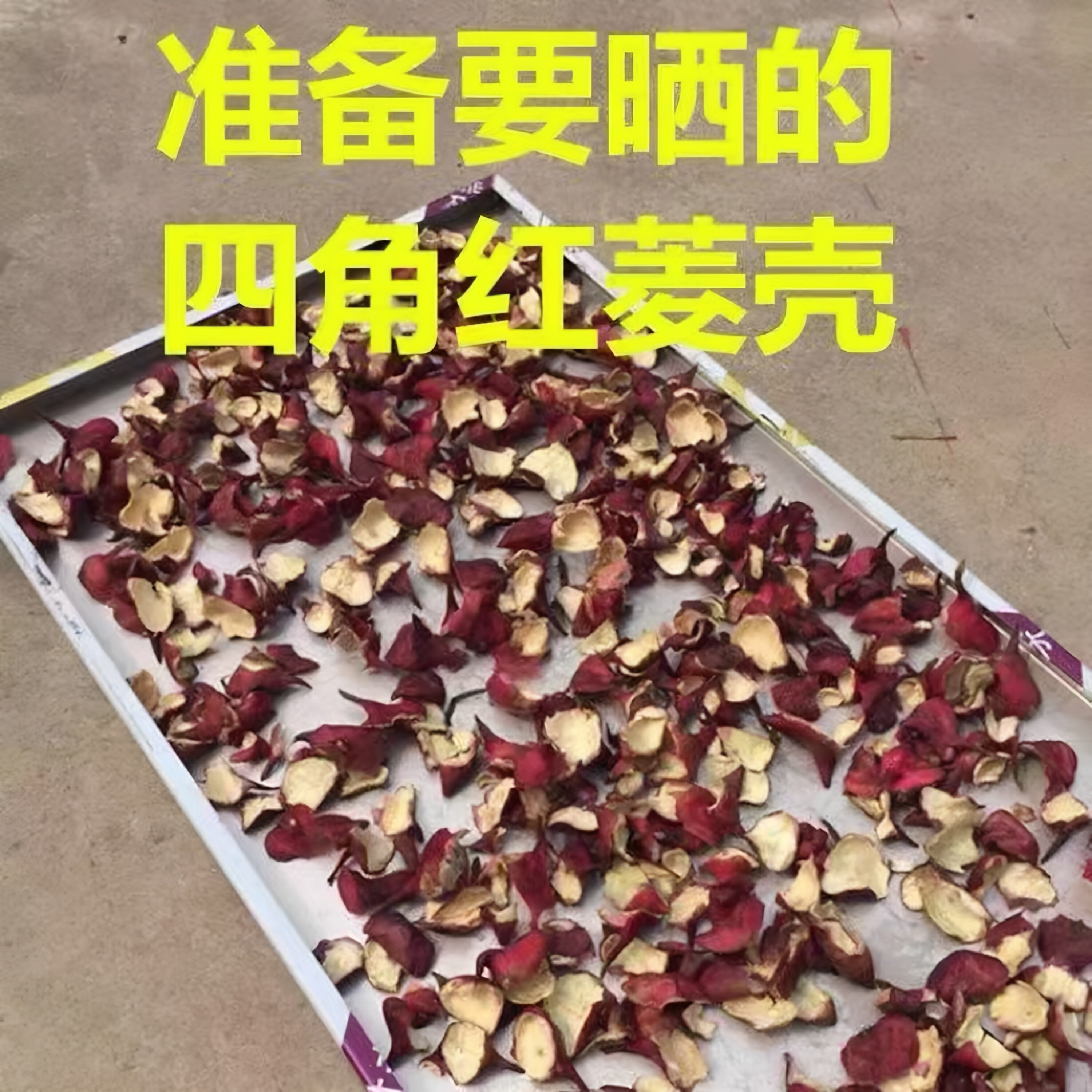 纯天然自然晒干野外生长新鲜四角菱角菱角壳干货红菱壳无肉菱角皮