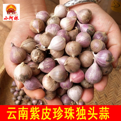 蒜头珍珠独蒜新鲜红衣紫皮干蒜