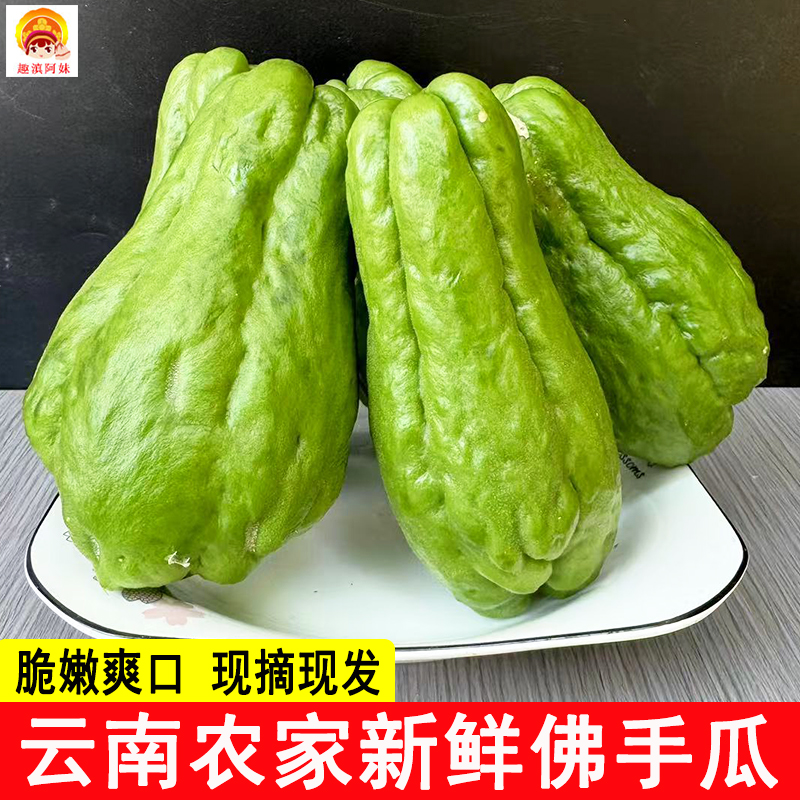 云南新鲜佛手瓜洋丝瓜