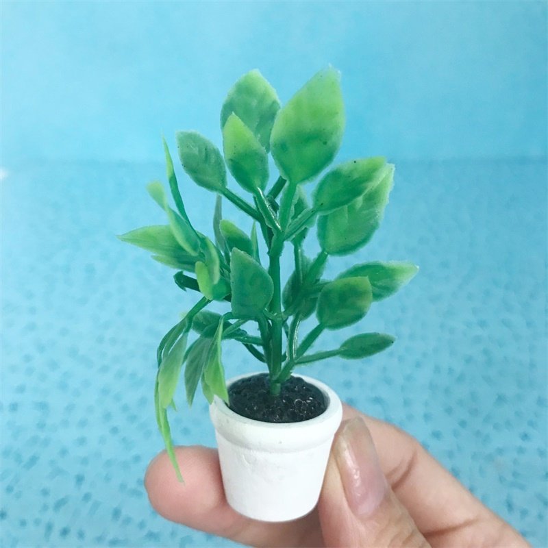 1:12迷你娃娃屋玩具模型绿色盆栽食玩BJD6分娃娃场景摆件拍摄道具在类目 玩具/童车/益智/积木/模型, 其它玩具中 - 来自Buy2taobao.com提供专业的淘宝代购服务