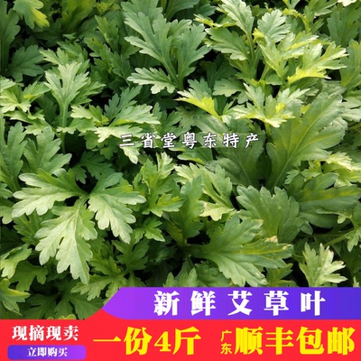 新鲜艾草 新鲜艾叶 艾草叶 生艾叶草 野生食用清明草米果青团糍粑