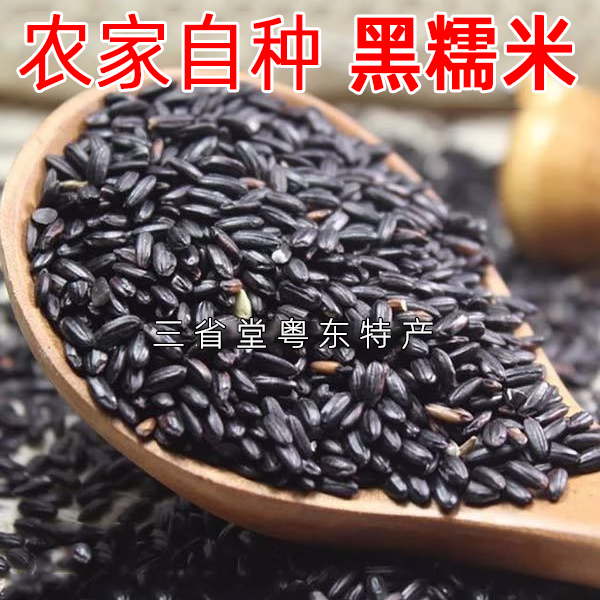 黑糯米 香糯米 农家自种新鲜黑糯米 做黑糯米娘酒老酒 客家特产