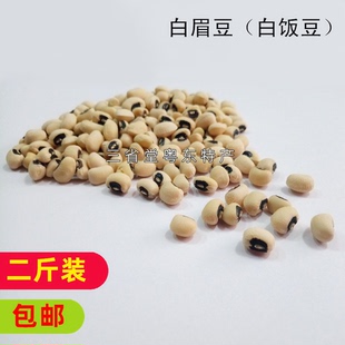 眉豆 白眉豆 食用 白饭豆 白江豆 白豇豆 五谷杂粮粗粮客家特产