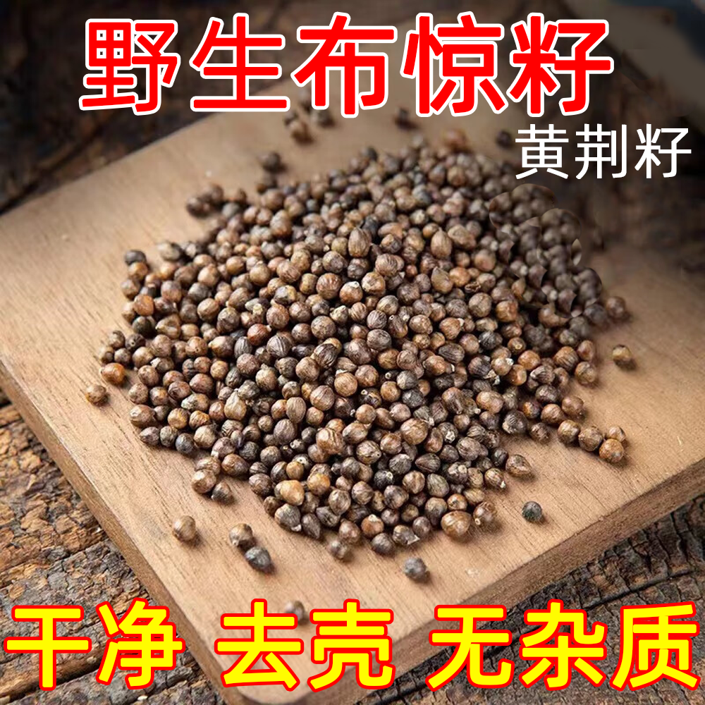 布惊籽枕头 野生布惊子 布惊仁子黄荆籽枕头 黄荆子枕芯 梅州客家,床上用品,枕头/枕芯,淘宝优惠券,粉丝福利购,淘宝优惠卷