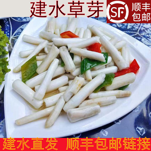 云南建水草芽新鲜象牙菜