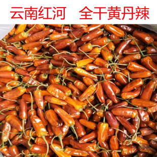 现货红河干锅旱鸭那刀辣黄丹辣黄焖鸭专用干辣椒黄色干辣椒500克