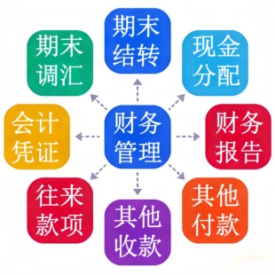 专业财务软件会计凭证期末结转现金分配财务管理软件