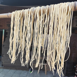 仿真索面土面挂面仿真粉条模型假粉丝摆件道具拍摄道具厨房装饰品