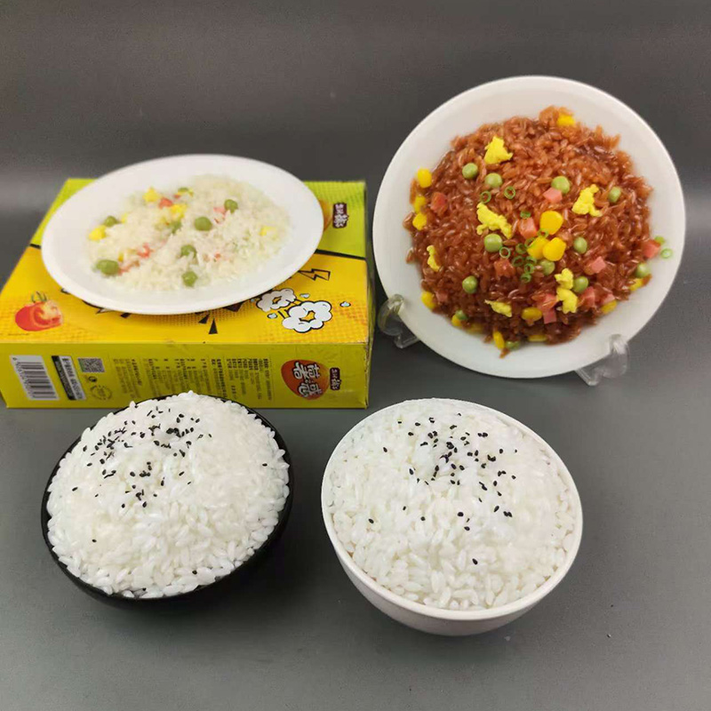 仿真≥14岁静态模型中国大陆食物