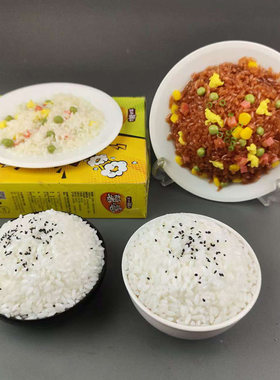 仿真≥14岁静态模型中国大陆食物