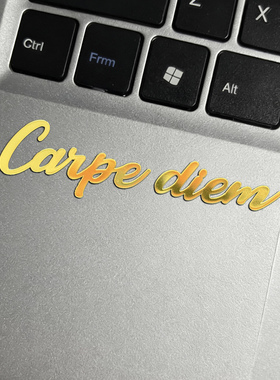 及时行乐carpe diem手机金属贴纸高级感汽车车窗贴摩托车托机箱贴