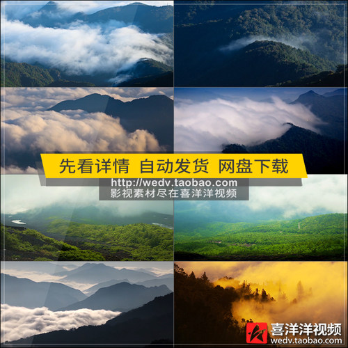C066清晨树林云雾缭绕山峰大自然环境风景色生态环保实拍视频素材
