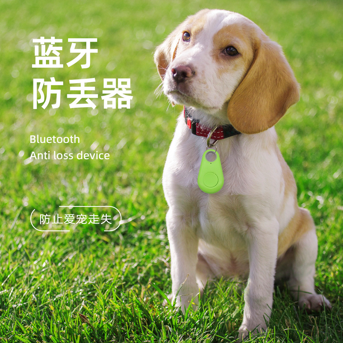 猫咪定位器小型迷你双向防丢蓝牙狗狗定位追踪器防拆宠物智能穿戴