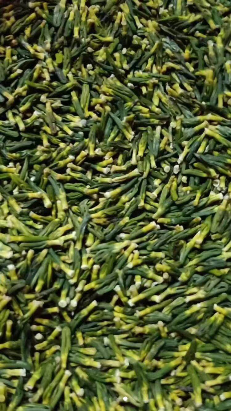 浙江武义特产自种莲子心茶宣平莲子心500克 农家手工剥新鲜包邮