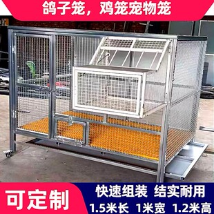 定制拼装 鸽子笼鸽笼鸽棚鸽舍信鸽大型鸟笼养殖专用笼室外户外 组装