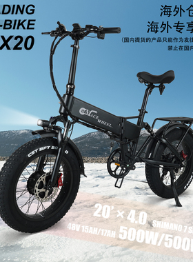 20寸折叠双驱电动自行车雪地车助力车锂电胖胎越野电车变速山地车