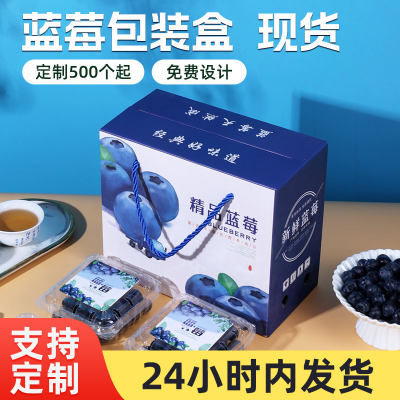 蓝莓礼盒高档125g塑料水果包装箱