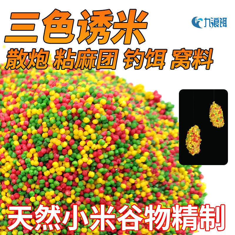 钓鱼三色米麝香米打窝米野钓饵料酒米纯小米鲫鱼鱼饵鲤鱼鲫鱼窝料,户外/登山/野营/旅行用品,台钓饵,淘宝优惠券,粉丝福利购,淘宝优惠卷