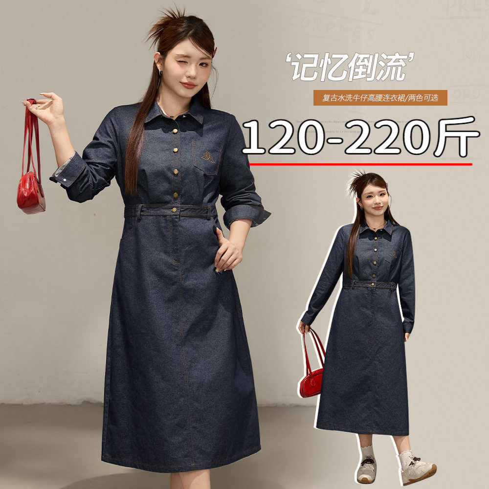 专业大码女装15年老店