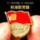 100个装 标准型党徽强磁铁扣胸针党微胸徽新款 标准共产党员胸针