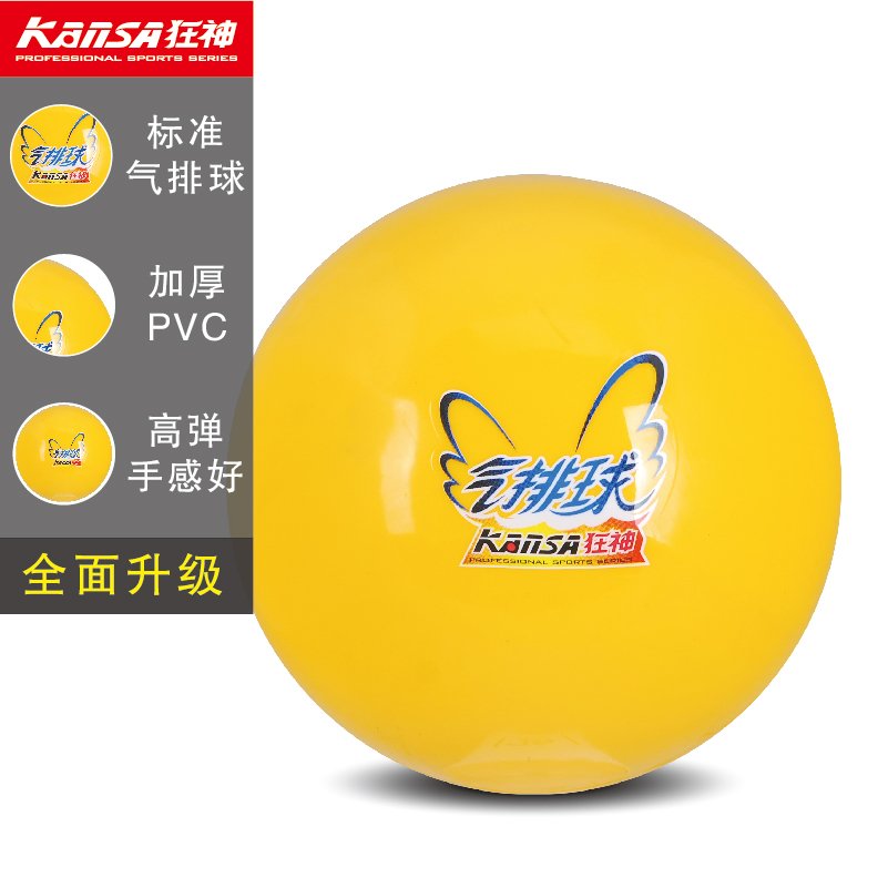 Ballon de volley-ball - Ref 2011551 Image 3