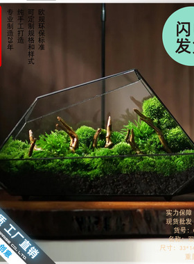 雨林缸苔藓微景观几何玻璃器皿罩盒子家居摆件微缩森林造景花盆器