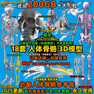 人体骨骼模型SW手全身骨骼MAYA图纸Rhino病人体结构解剖3D建模STP