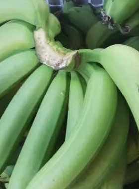 新鲜绿香蕉5斤广东水果Green bananas are served现摘超甜香蕉