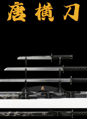 龙泉镇宝剑唐横刀一体高猛钢武术兵器户外车载仿身绣春刀具未开刃