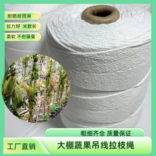 大棚吊秧线西红柿吊线人参果吊蔓线大棚豌豆蔬菜番茄黄辣椒防倒绳