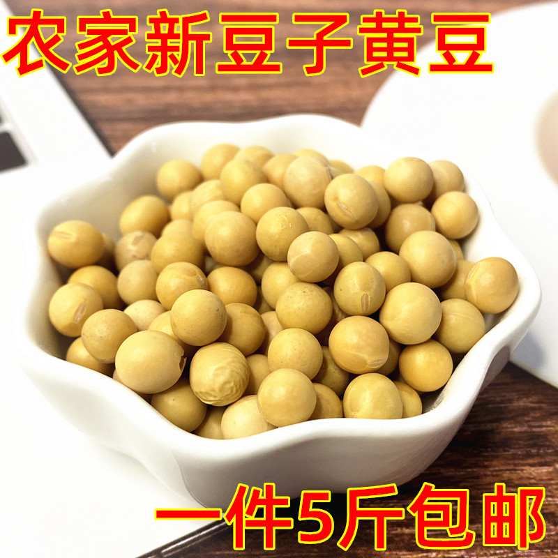 黄豆东北大豆农家新豆打豆浆五谷杂粮可生豆芽5斤大颗粒黄豆