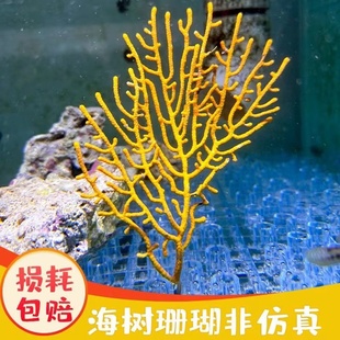 海树珊瑚树非仿真珊瑚造景水族花草装 饰珊瑚树枝鱼缸海缸造景摆件