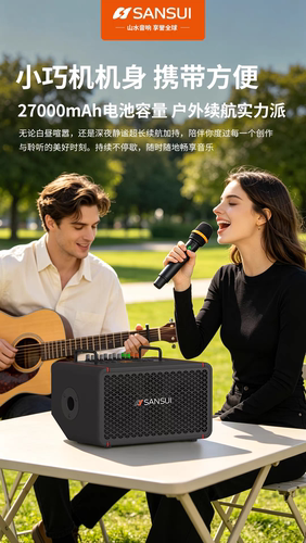 山水p2乐器音响户外便携K歌音箱一体大功率双话筒碳纤维喇叭音