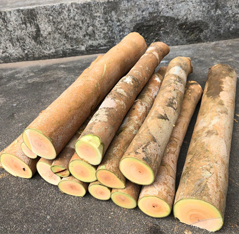 硬木头茶油木手把握饼雕刻料茶籽油原木摆件弓圆棒四方块小木条子