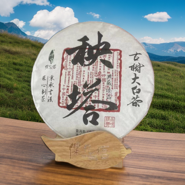 秧塔古树大白茶 普洱古树白茶 生茶 白茶 典藏臻品 357g