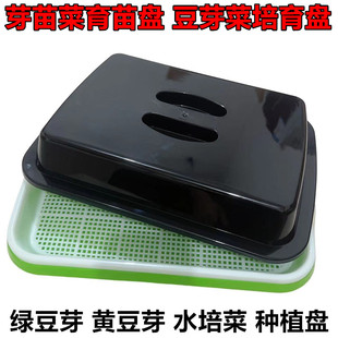 加厚育苗盆托盘水培豆芽盘家用黄豆种植盘阳台蔬菜绿豆芽苗菜水培