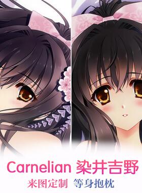 Carnelian 华枕2013ver2 染井吉野 动漫等身抱枕 靠枕2wt抱枕套