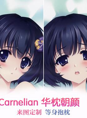 Carnelian 华枕 朝颜（アサガオ）动漫等身抱枕 靠枕2wt抱枕套