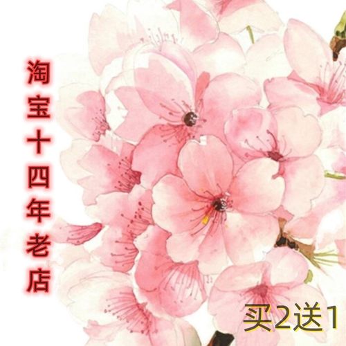 肾康茶肌酐高尿蛋白浮肿消水肿黄芪猫须草金钱草茶玉米须黄芪肾茶