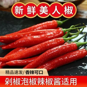 现摘美人椒香辣中辣农家红辣椒