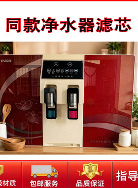适用于扬子电器净水器滤芯加热一体直饮反渗透净水机过滤器网配件