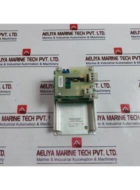 原装供应   DSTY 101 模拟隔离放大器 YM222001-TS