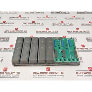 原装供应费舍尔-罗斯蒙特 12P0818X072 8 Ancho Portador Con Esc