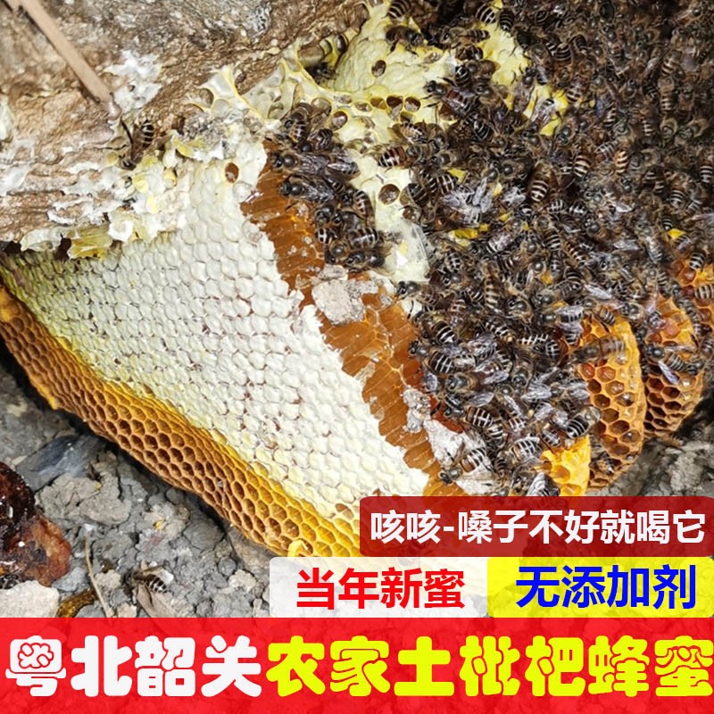 野生土蜂蜜无添加农家深山采挖